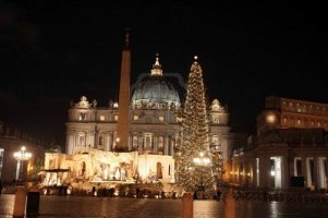 Ватикан отпразднует Рождество с елкой из Украины