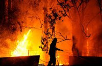 Австралию охватили лесные пожары