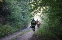 Через російську агресію в Україні пошкоджено десятки тисяч гектарів лісу, – ОГП 