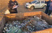 В Одеській області затримали браконьєрів з кефаллю на 1,7 млн гривень 