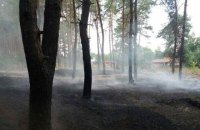 В Полтавской области за сутки потушили два лесных пожара