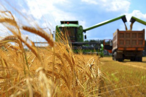 Україна зібрала рекордний урожай - 106 млн тонн олійних та зернових культур