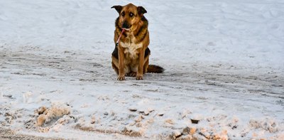 «Де мій дім?» Як у Києві забудовник та НАН знесли гуртожиток, а мешканці опинилися на вулиці