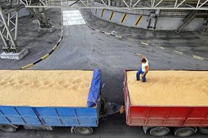 Подорожчання зерна призупинило його експорт з України