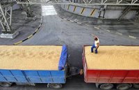 В январе-июне экспорт зерна вырастет на 40%, - УАК