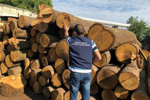 Прокуратура обшукує лісові господарства і підприємства-контрагенти в Харківській області