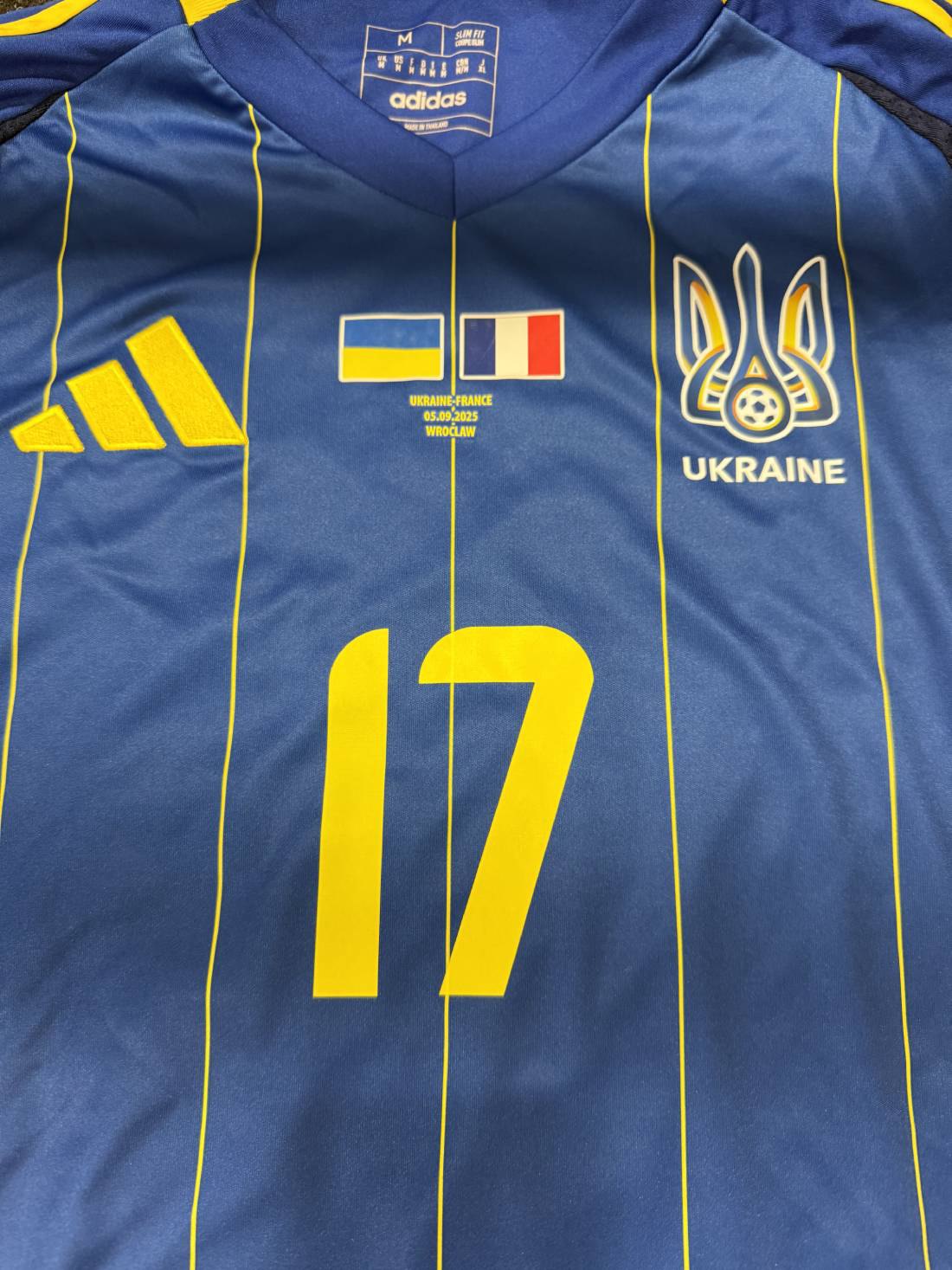 Комплект форми України на матч проти Франції