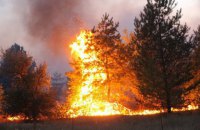 На Луганщине ликвидированы 116 из 146 очагов пожаров (обновлено)