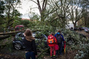 В Европе 9 человек стали жертвами урагана "Никлас"