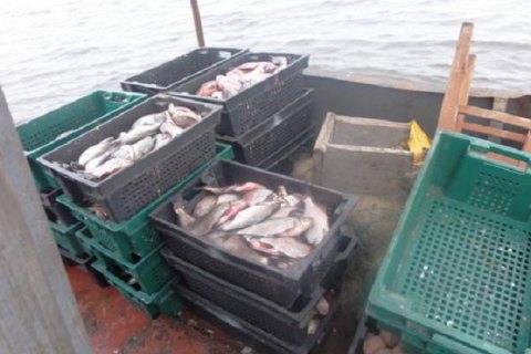 У Південному Бузі та Дністровському водосховищі заборонили промисловий вилов риби