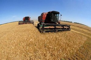 Украина собрала третий по объему урожай зерна за годы независимости
