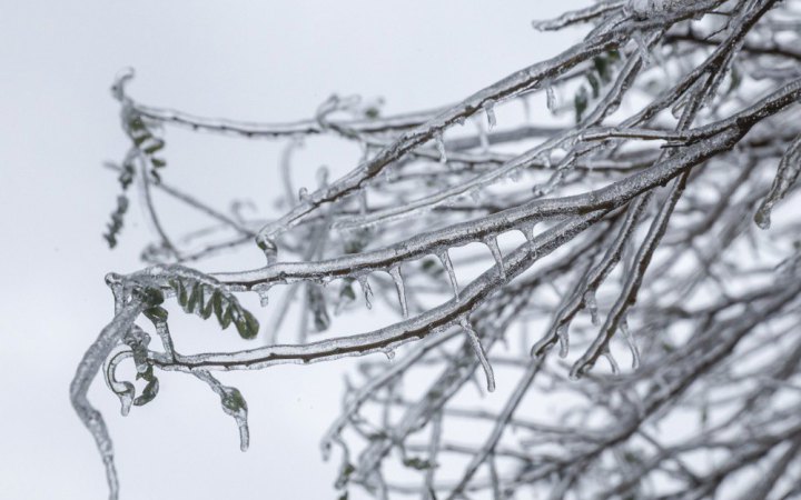 Морози в Україні послабляться після 22 січня, – Укргідрометцентр