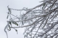 Морози в Україні послабляться після 22 січня, – Укргідрометцентр