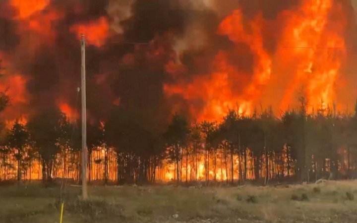 У канадській провінції Саскачеван через лісові пожежі евакуювали тисячі людей