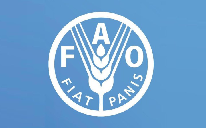 В Україні створять Офіс продовольчої та сільськогосподарської організації ООН, – Мінекономіки