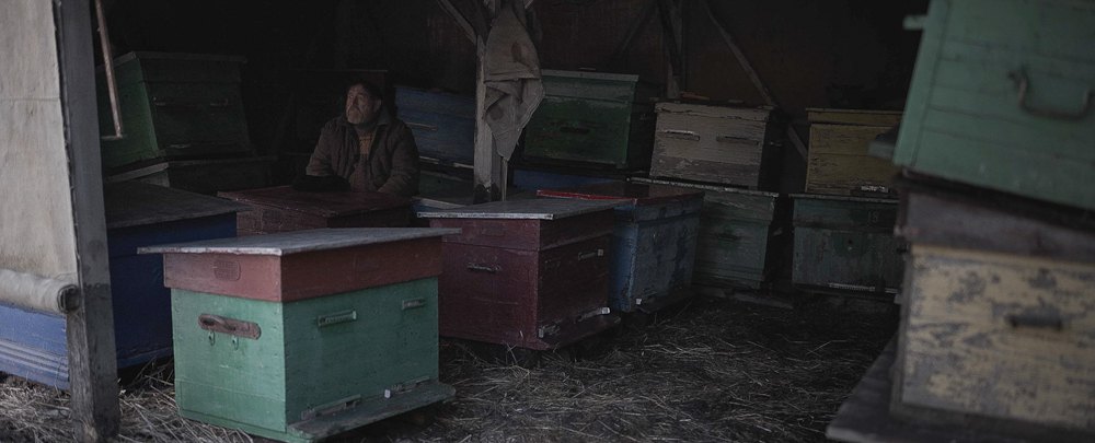 Кадр зі стрічки «Сірі бджоли» 