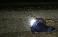 В Киеве поезд насмерть сбил мужчину, перебегавшего пути