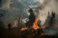 Понад тисяча пожежників гасять лісову пожежу біля французького Бордо