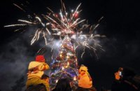 ​Почти половина украинцев на Новый год установят живую елку, - опрос