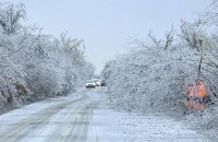 Через негоду на Львівщині та Прикарпатті без світла залишилися сотні населених пунктів