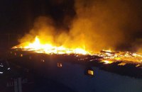 Семь тысяч кур погибли из-за пожара на ферме возле Киева