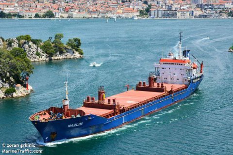 Россия задержала в Азовском море два турецких судна
