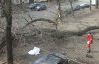 У результаті урагану в Одесі загинула жінка