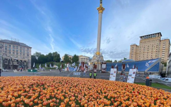 У Києві та Львові висадять тюльпани з Нідерландів