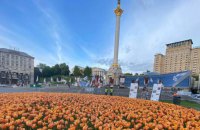 У Києві та Львові висадять тюльпани з Нідерландів