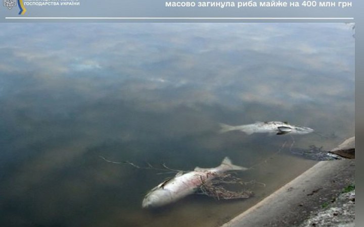 Унаслідок обстрілу Херсонщини знищено риби на майже 400 млн грн