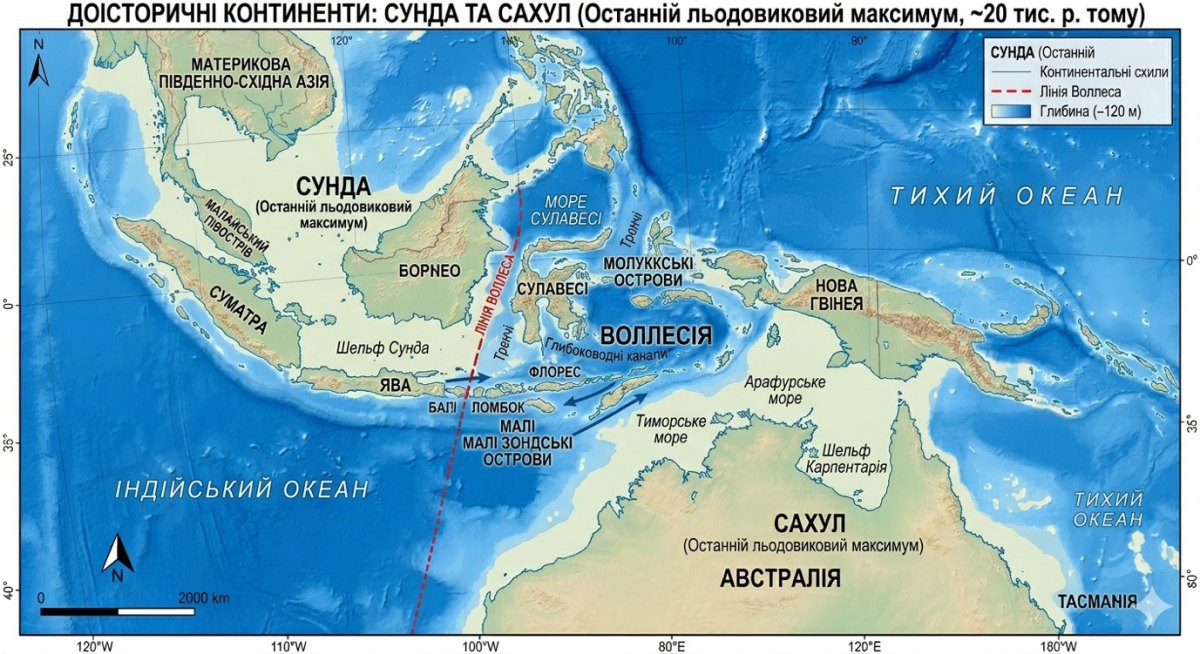 Нова Гвінея