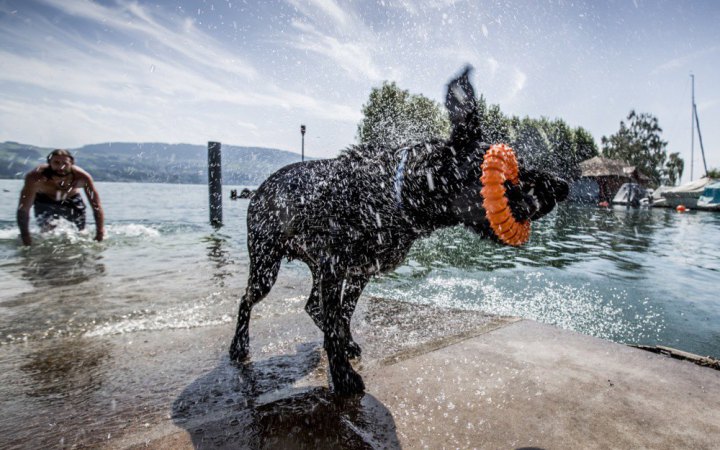Червень у Києві був холоднішим за норму із середньою температура повітря +19,1 °С