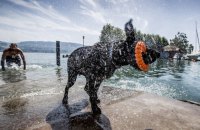 Червень у Києві був холоднішим за норму із середньою температура повітря +19,1 °С