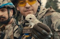 Трудні перемоги, кепські рішення і приємні сюрпризи: підсумки кіно 2025 року