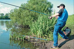 ​Вылов рыбы в Украине сократился более чем на 12%