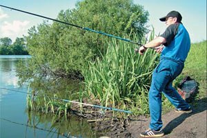 Вылов рыбы в Украине за полгода сократился на 13,6%