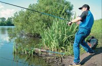 Вылов рыбы в Украине за полгода сократился на 13,6%