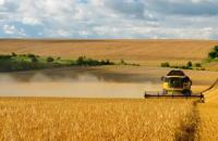 ЄС полегшує правила для рослин, створених шляхом редагування генів