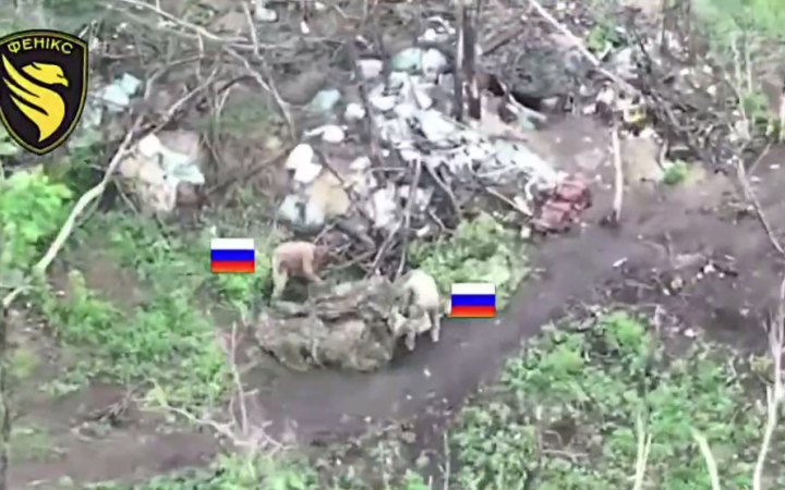 Українські прикордонники знищили російський пункт управління БпЛА