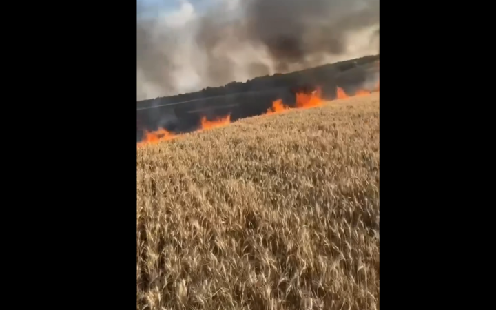 На Запоріжжі згоріло майже 4 га хліба через російський обстріл, – ДСНС