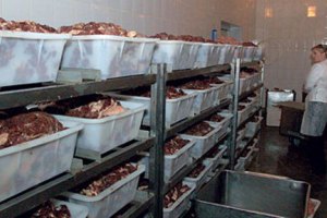 Россия ужесточит требования к ввозу мясной продукции из Украины