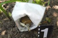 Дворник нашла гранату возле жилого дома в Киеве 