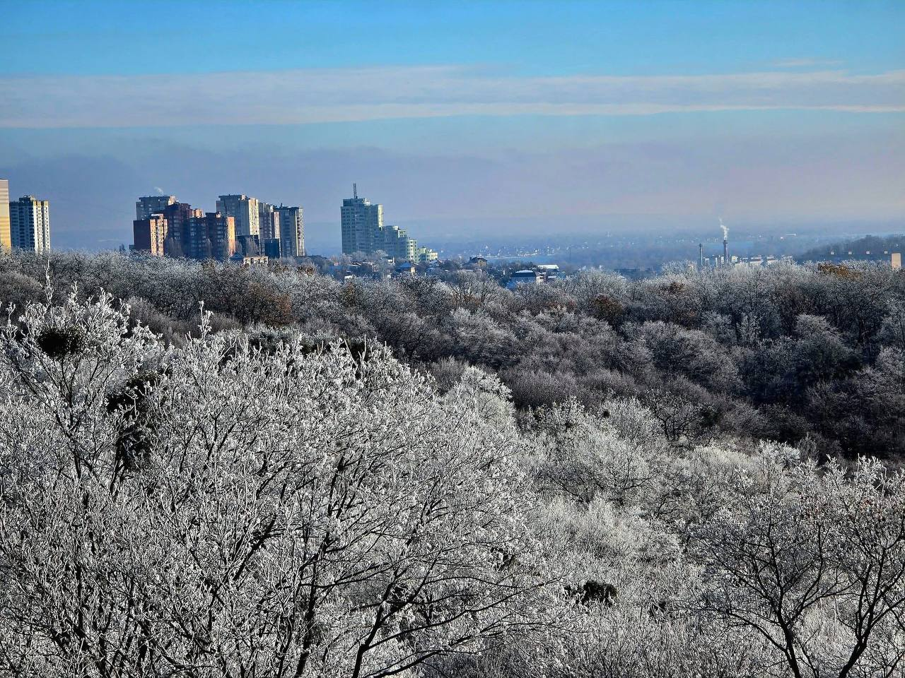 Зима в національному парку