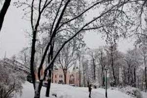 В понедельник в Киеве будет морозно и снежно