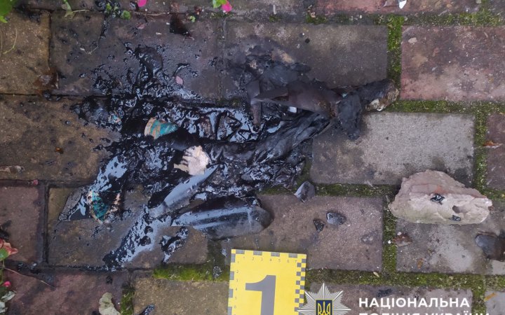 На Київщині затримали підозрюваних у спробі спалити будинок ветерана 