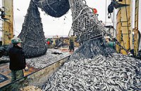 Вылов рыбы в Украине за 10 месяцев сократился на 10%