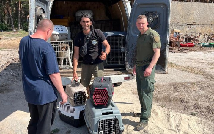 Поліцейські та зооволонтери евакуювали 13 тварин з притулку на Харківщині