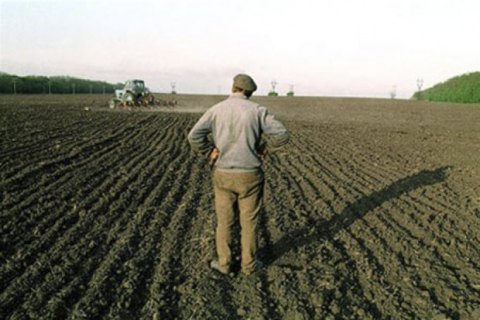 Минагрополитики запустило бета-версию всеукраинского портала по оценке сельхозземель
