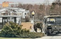 ​В белорусский центр радиационной медицины прибывают автобусы с российскими военными из зоны ЧАЭС