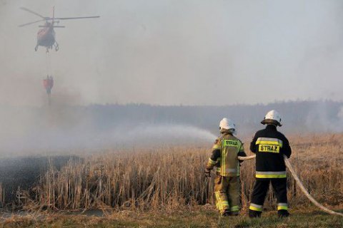 У найбільшому національному парку Польщі тиждень не можуть загасити пожежу